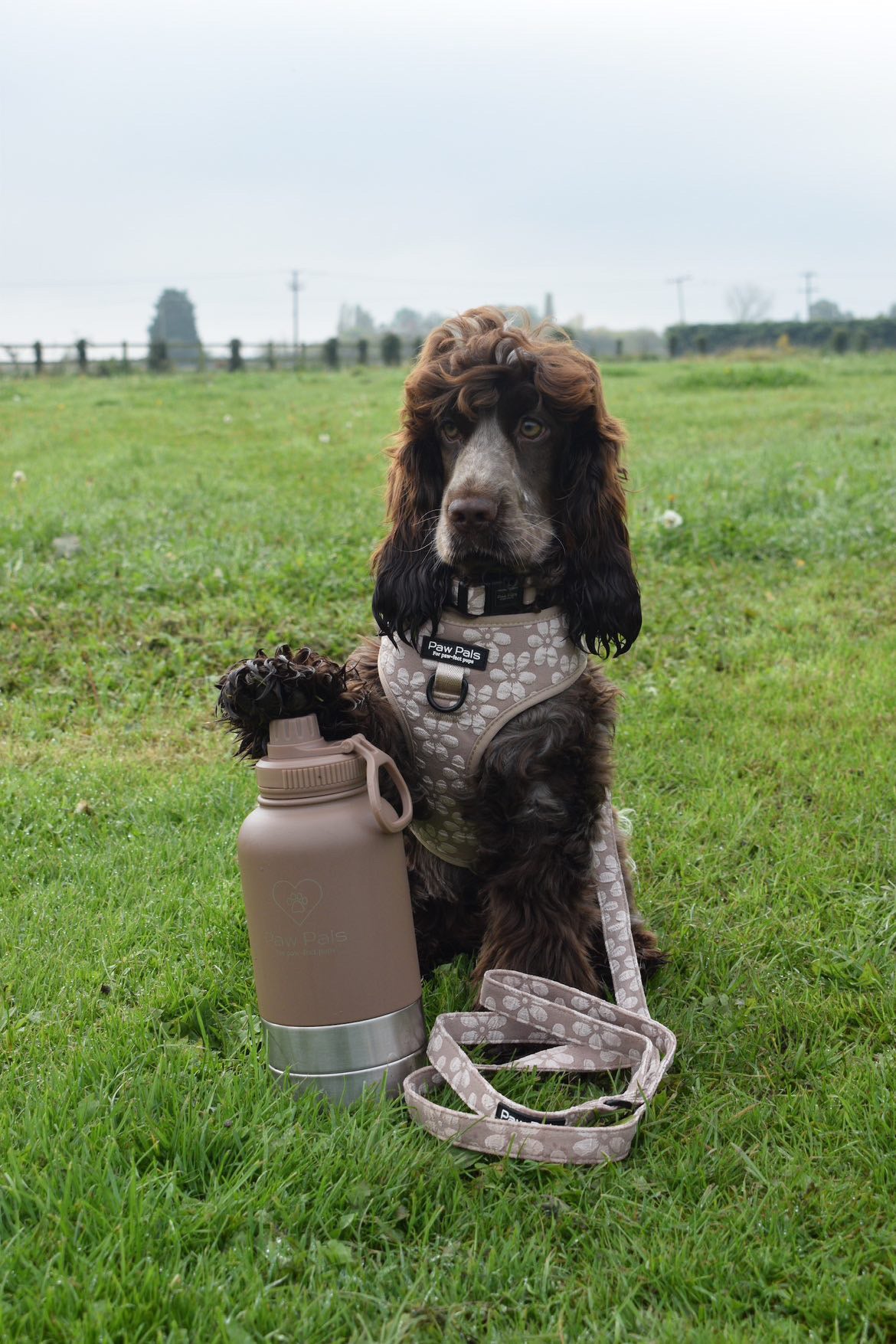 ☕️ “Love You A Latte” ☕️ Walkies Bundle