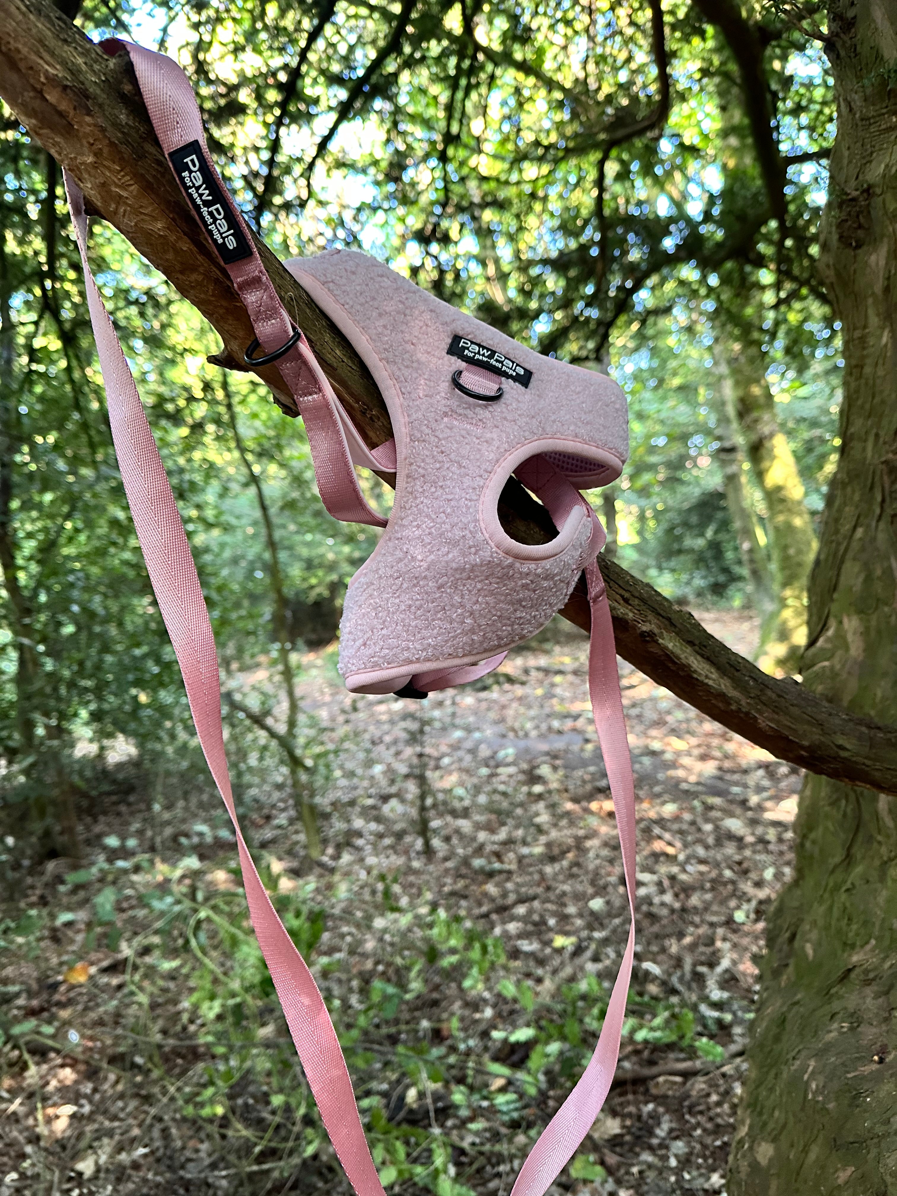 🧸 “Pink Teddy” 🧸 Harness & Leash Duo