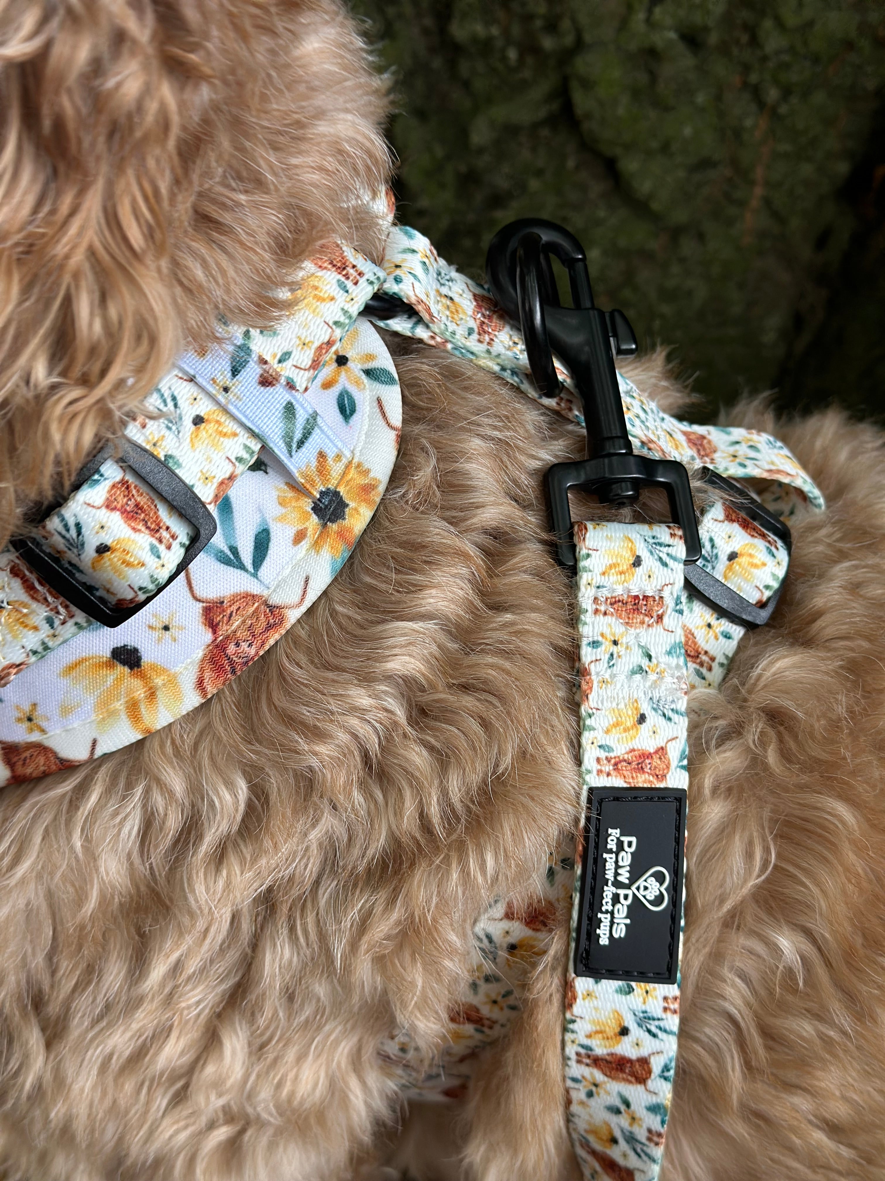 🐮 “Something Moo” 🐮 Leash