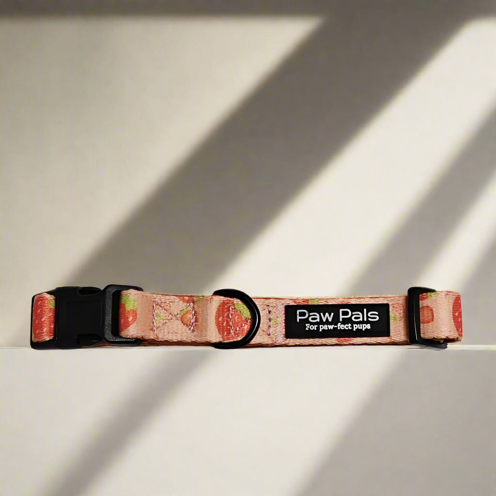 🍓 “Strawberry Delight” 🍓 Collar