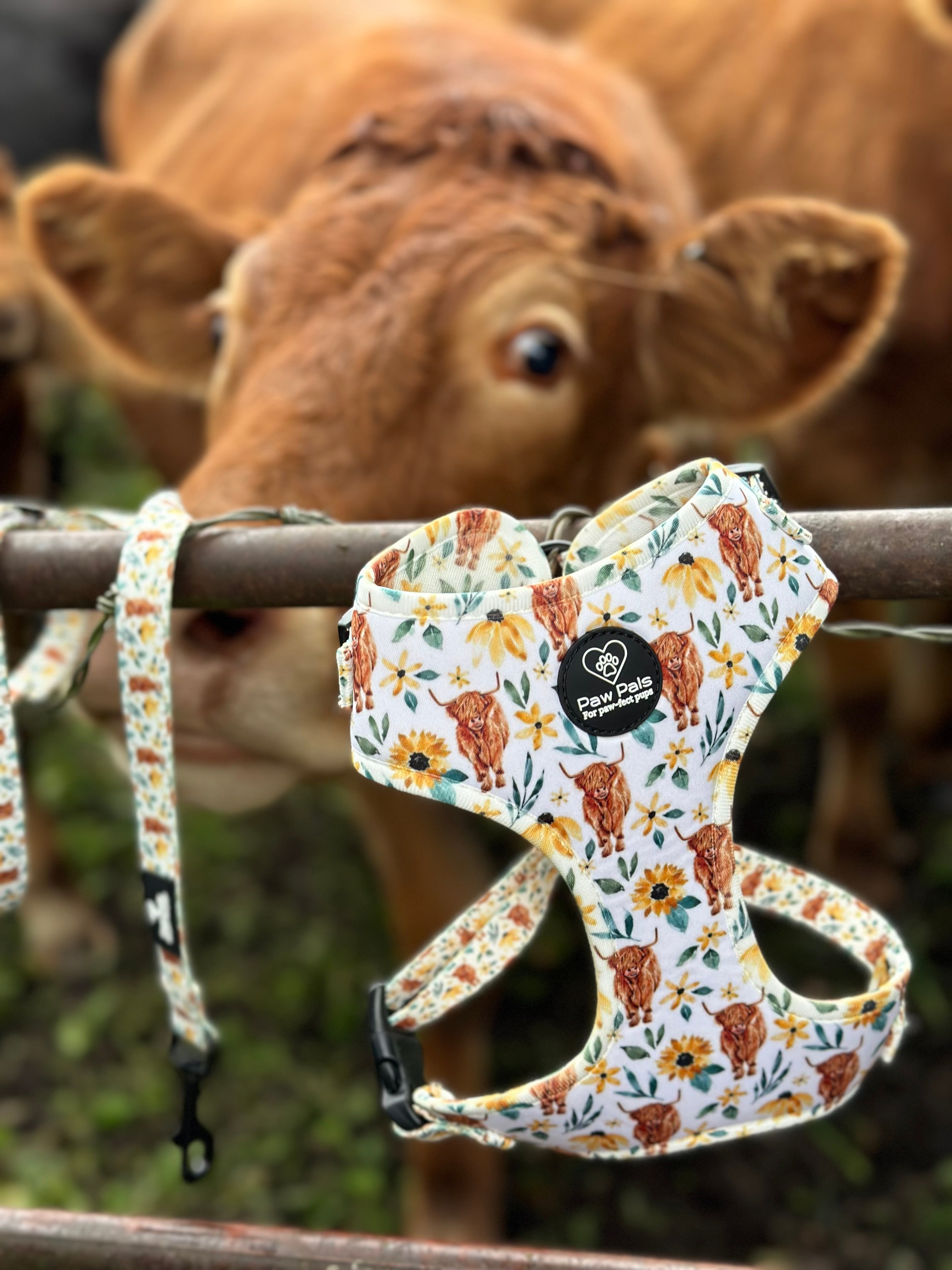 🐮 “Something Moo” 🐮 Harness & Leash Duo