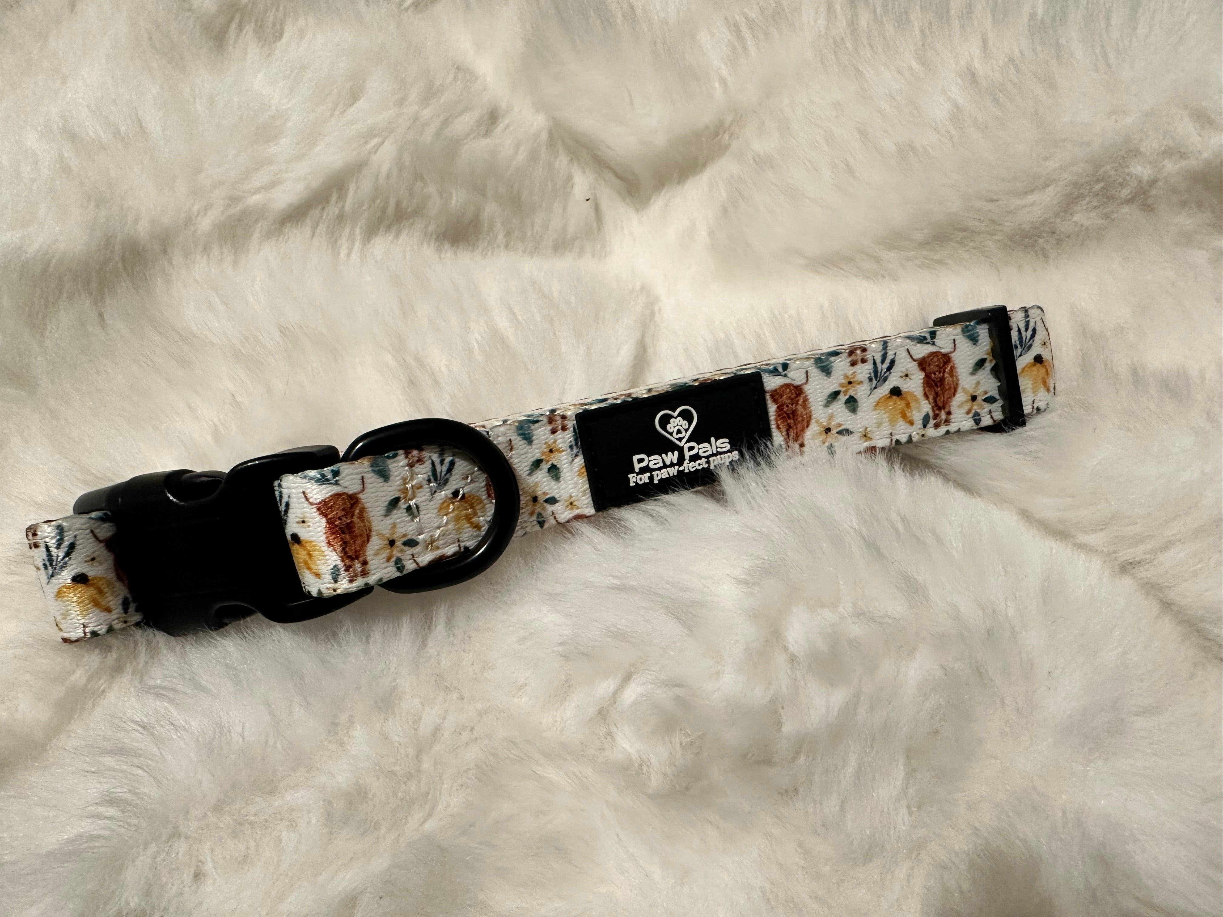 🐮“Something Moo”🐮 Collar