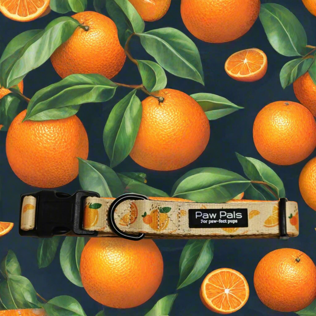 🍊 “Feeling Juicy” 🍊Collar