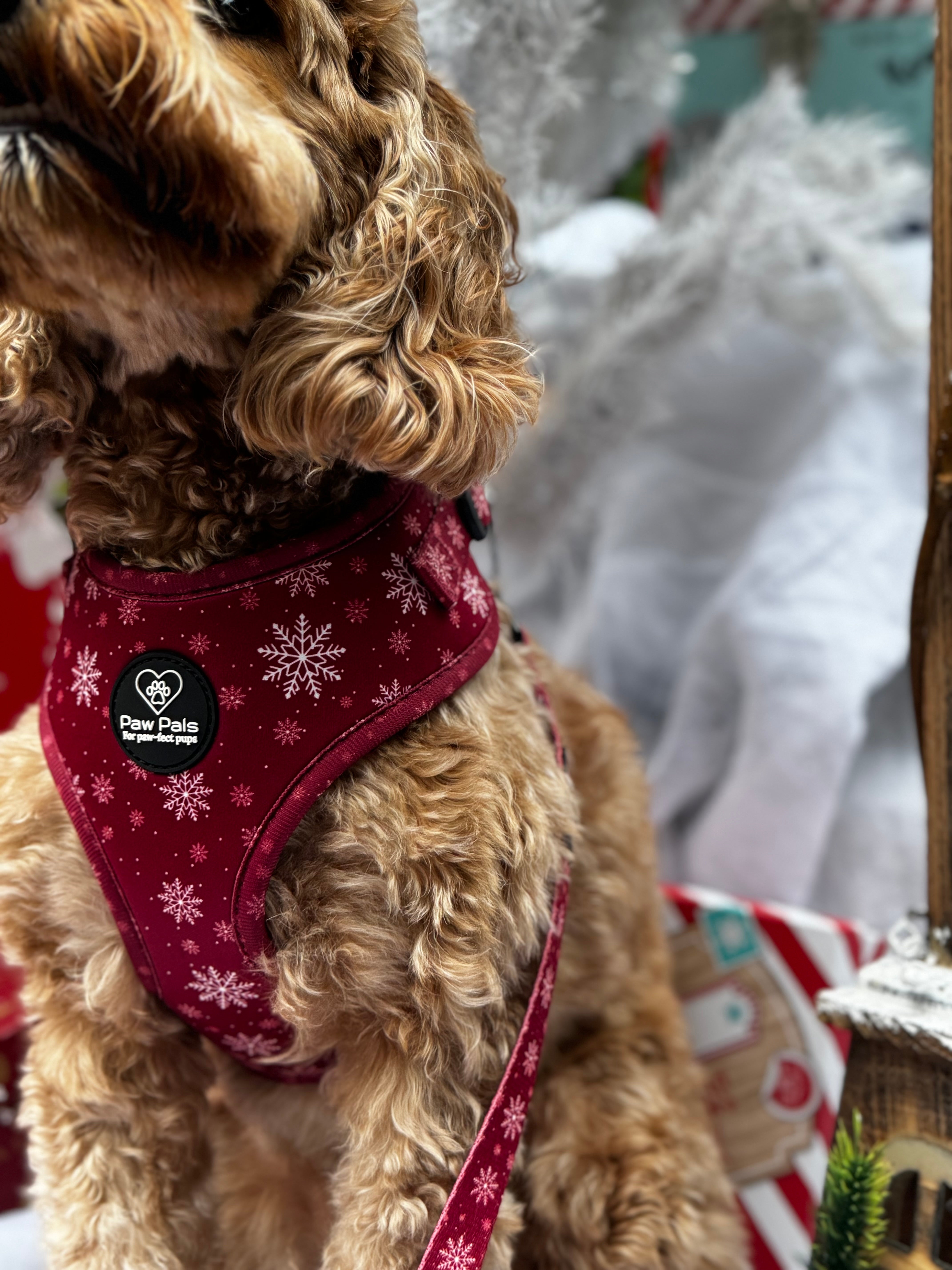 ❄️ “Snowflake Snuggles” ❄️ Harness and Leash Duo