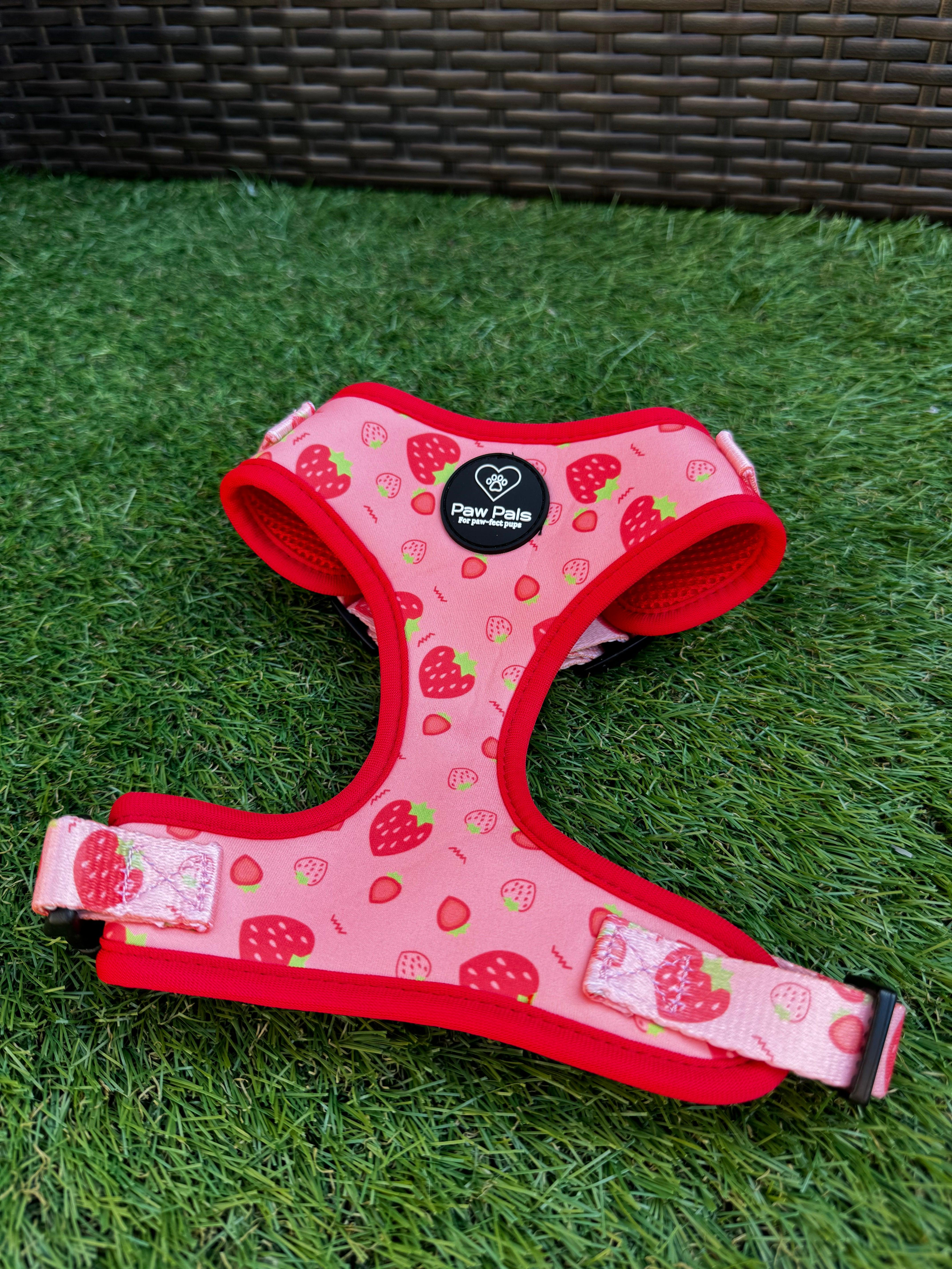 🍓 “Strawberry Delight” 🍓 Harness