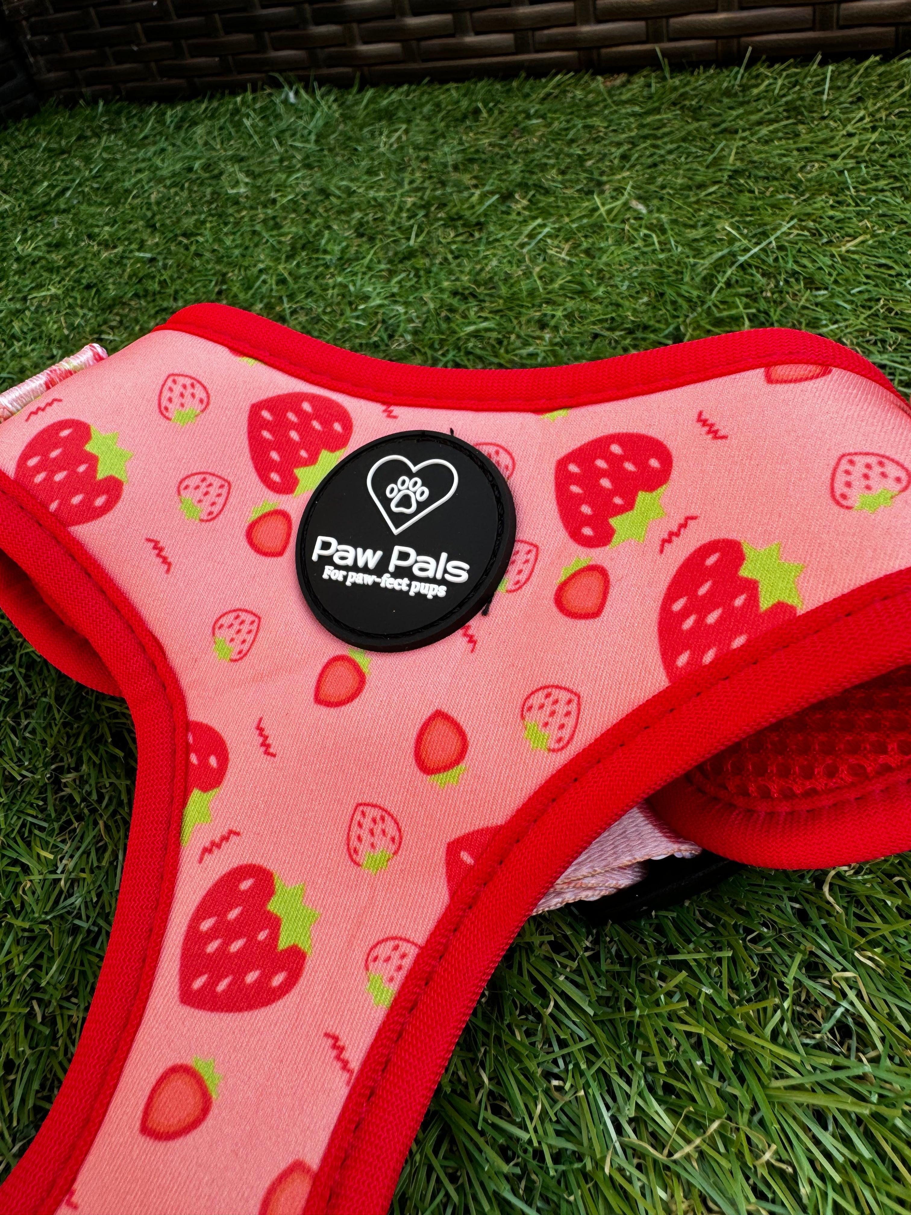 🍓 “Strawberry Delight” 🍓 Harness