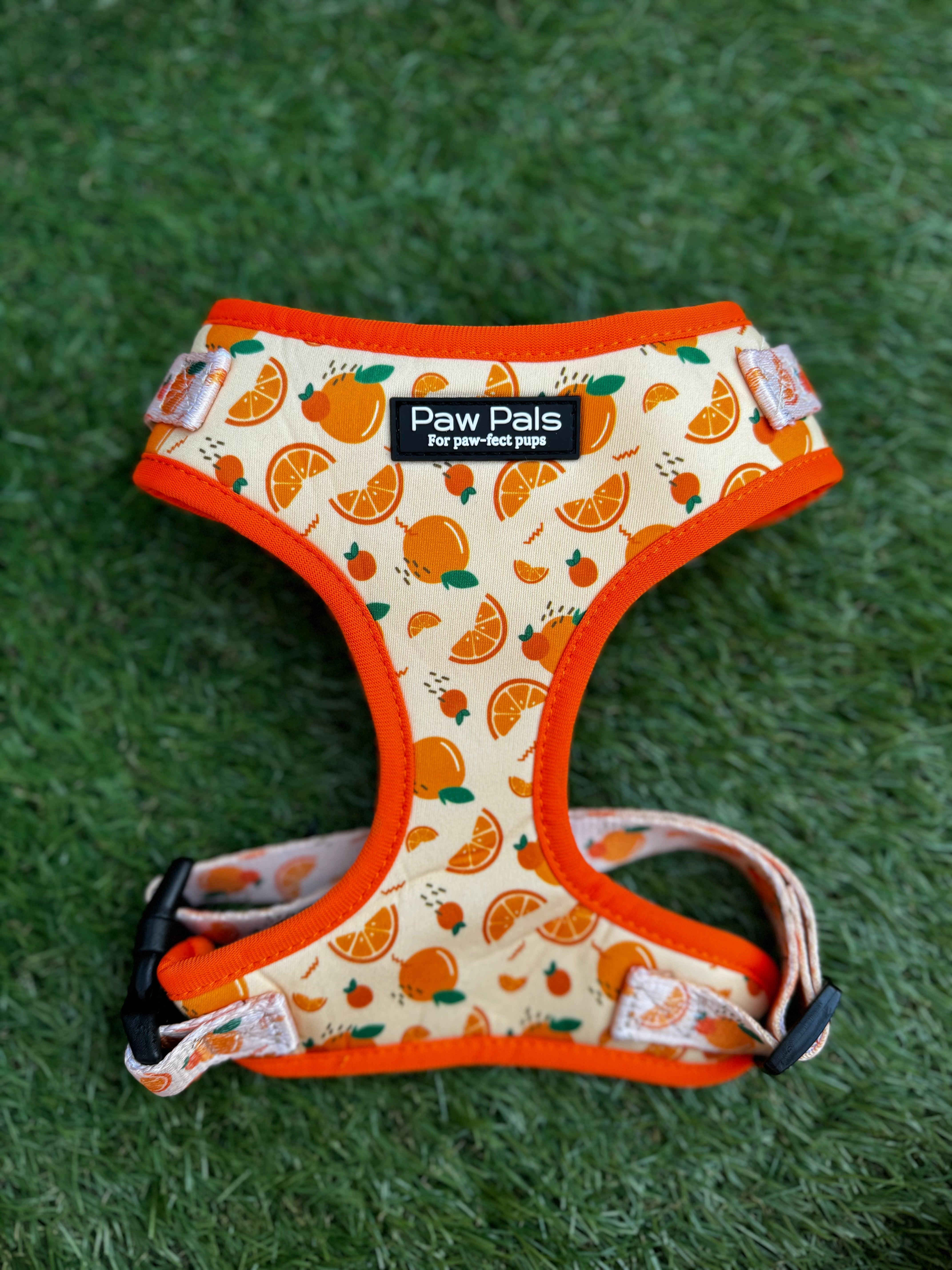 🍊 “Feeling Juicy” 🍊Harness